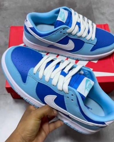 Nike Dunk Low Retro sneakers "Argon"