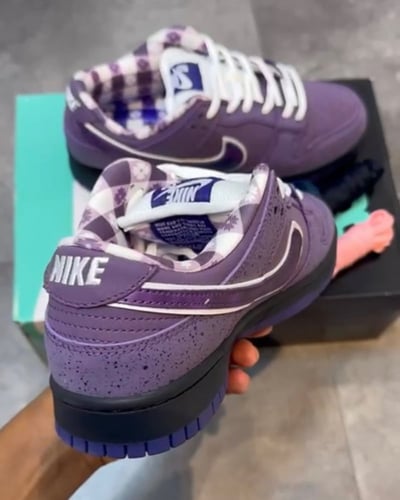 Nike SB Dunk Low Concepts Purple Lobster