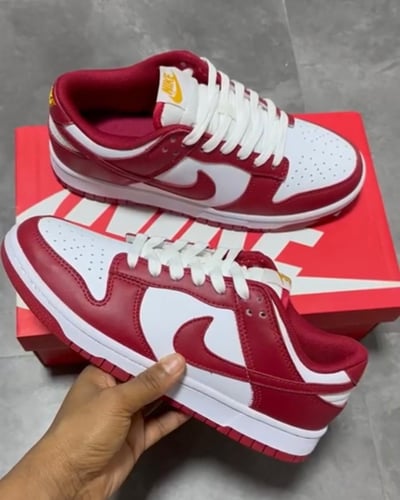 Nike Dunk Low Usc