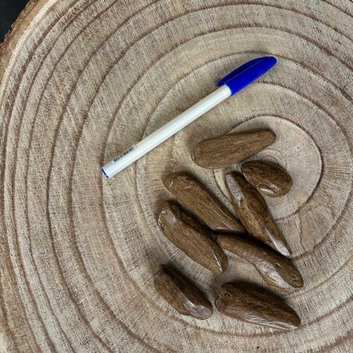 عود مروكي محسن سوبر