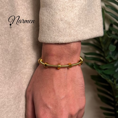 سوارة الشكل الجديد من كارتير