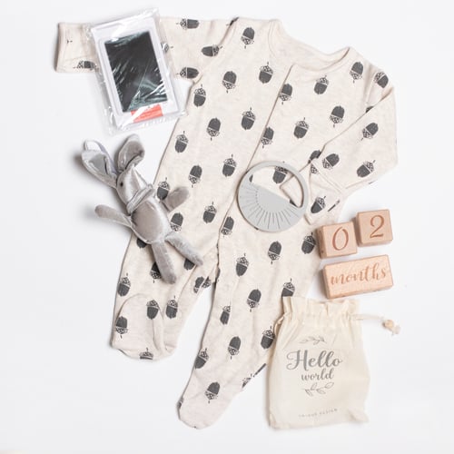 صندوق هدية ولد - صغير- برسومات ثمر البلوط