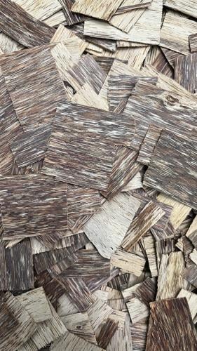 رقائق فيتنامي