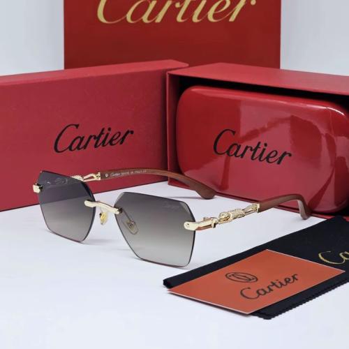 نظاره كارتير