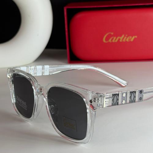 نظاره كارتير