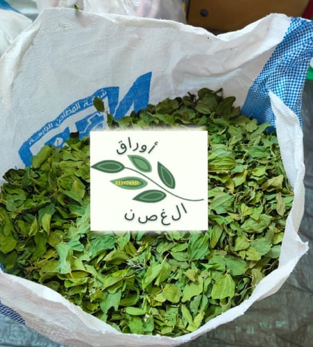 سدر ورق مجفف (كيلو)