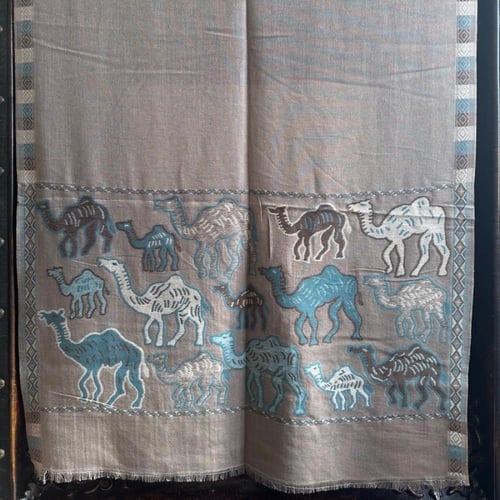 شال كشميري جمل ٣