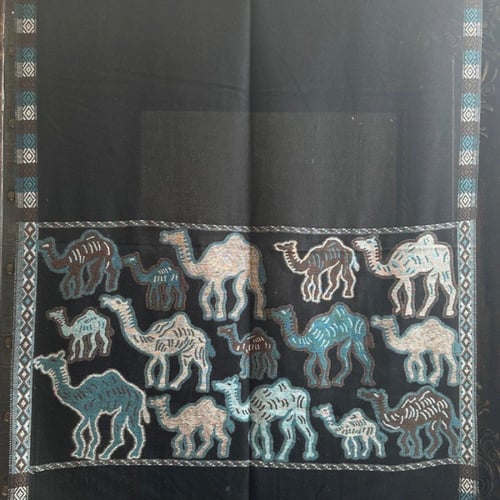 شال كشميري جمل ٣