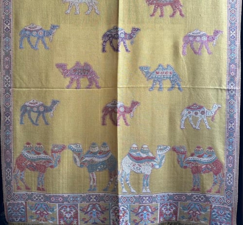 شال كشميري جمل