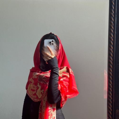 شال كشميري جمل ٣