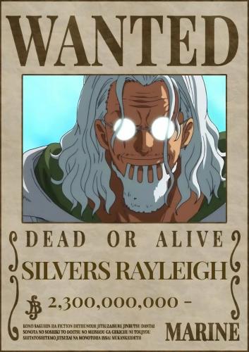 ستيكر معدنى لاصق للجوال (سلفر ريلي).