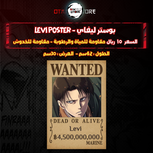 بوستر ليفاي - Levi poster