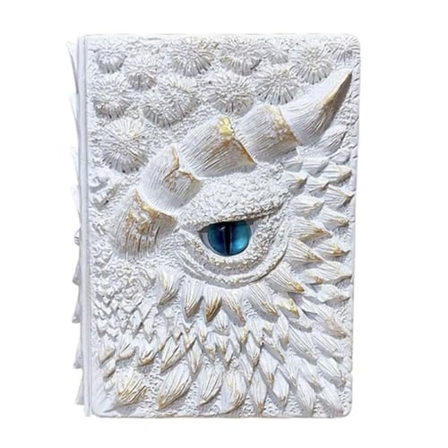 دفتر دراغون - DRAGON notebook