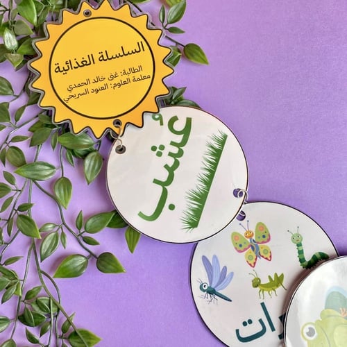 مطوية السلسلة الغذائية