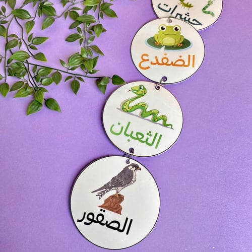 مطوية السلسلة الغذائية