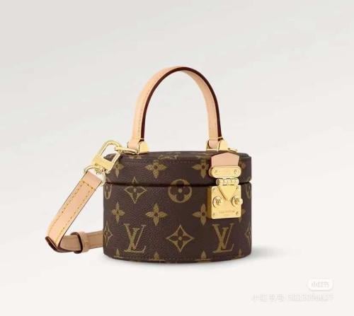 The LV Scott bag
