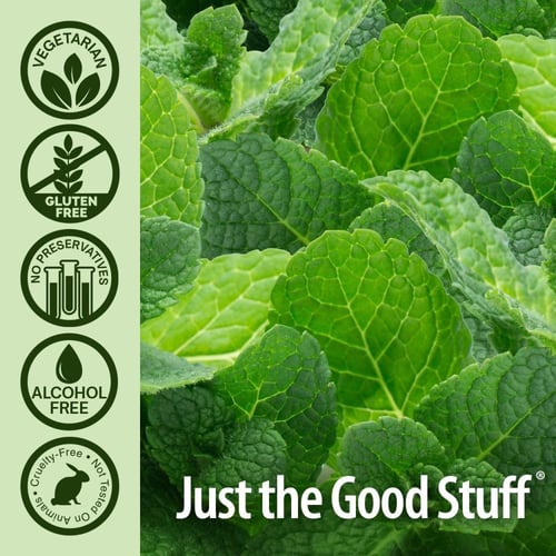 ناتشرز انسر غسول فم بالنعناع البارد 480ml