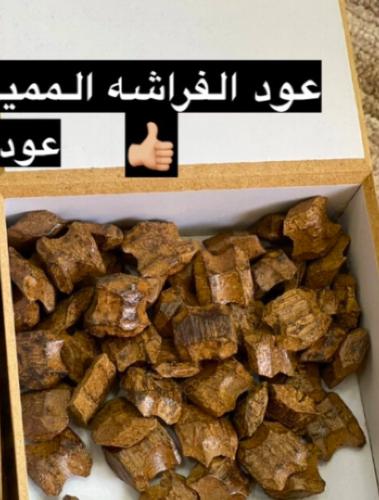 عود الفراشه المميز