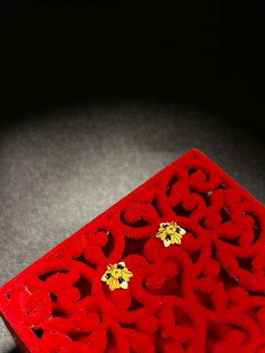 حلق بريمه موديل هندي فاخر و مميز لبس يومي بوابة.5