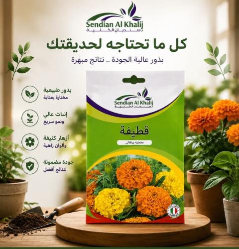 Velvet orange pumpkin seeds Italian pack