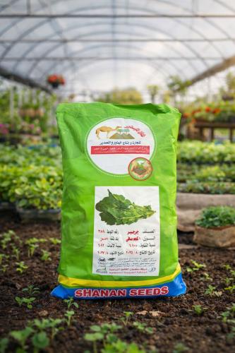 Rocket seeds (Abu Jamel)