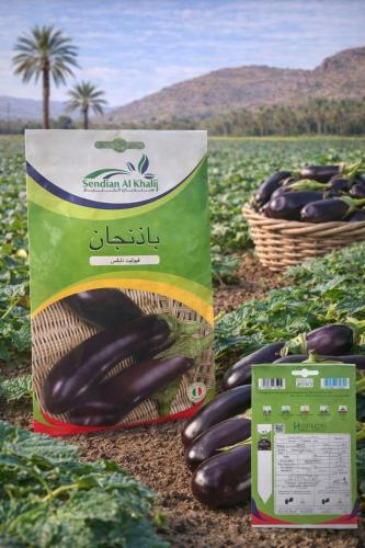 Eggplant seeds Violet packet Italian