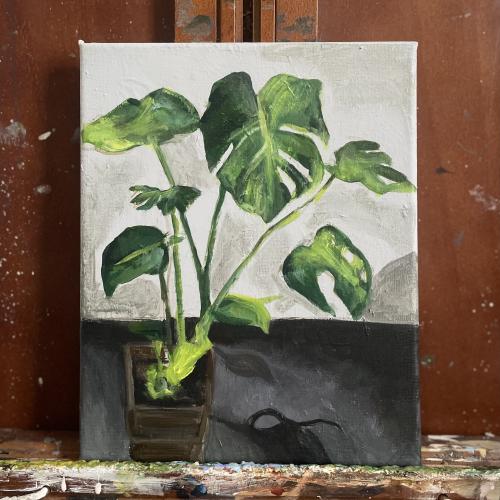 Green plant 24*20cm