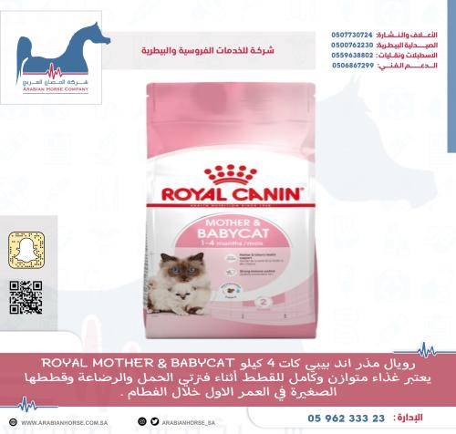 Royal Mother and Baby Cat 4 kilograms