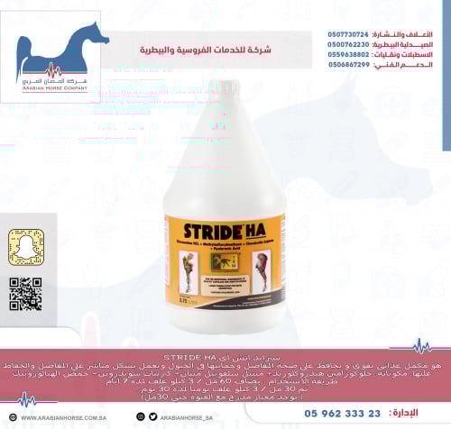 سترايد اتش أي STRIDE HA