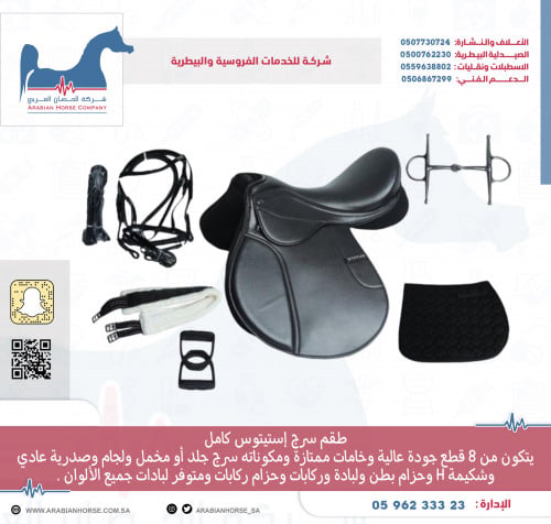 Estate saddle set with accessories complete high q...