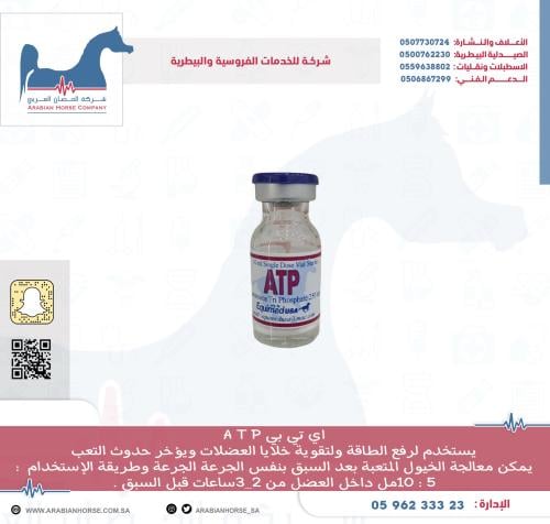 اي تي بي A T P