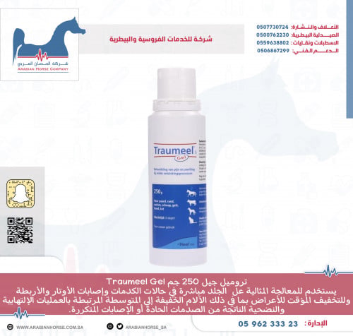Traumeel Gel