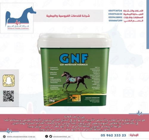 جي ان اف G N F