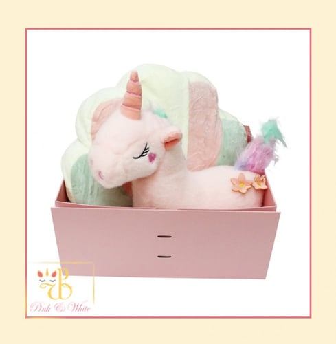 بوكس تغليف كبير Large Packaging Box