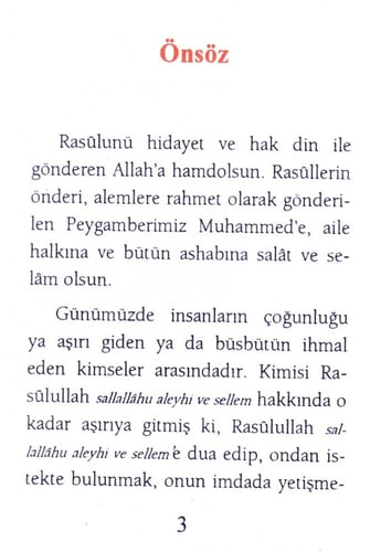 يوم في بيت الرسول صلى الله عليه وسلم ( باللغة التر...