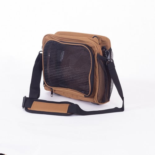 صفن طيور رملي