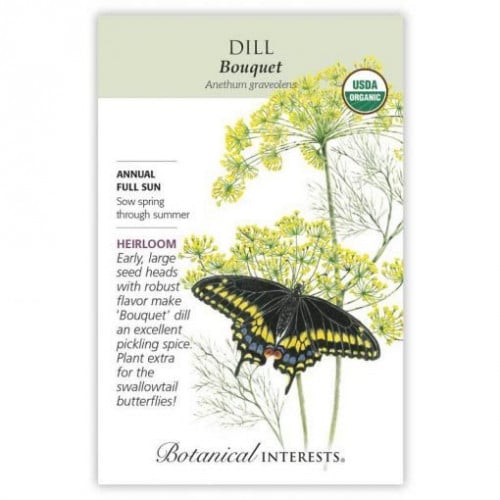 بذور شبنت عضوي - Bouquet Dill Seeds
