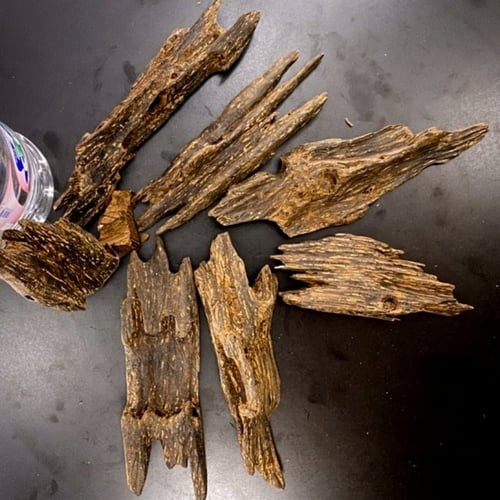 العود الأزرق