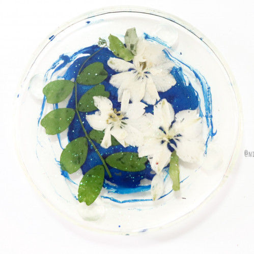 water plants كوستر