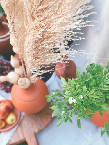 زهرة اليقطين مجموعة 5 اغصان