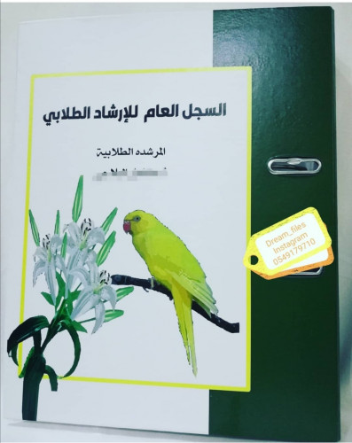 السجل العام للإرشاد الطلابي كامل (28 صفحة)