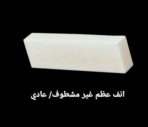 انف العود من العظم الطبيعي مشطوف/عادي