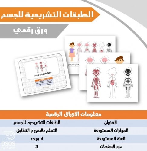 الطبقات التشريحية للجسم