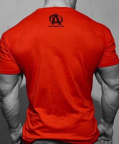 ANIMAL M-STAK ICONIC RED