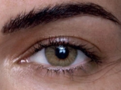 اديكت ارينا