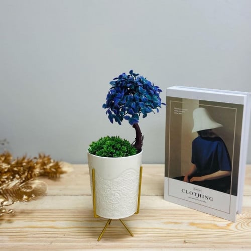 مركن سيراميك عاجي بارجل ذهبية