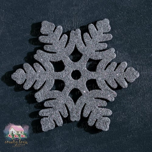 8042 كوسترات شتوية مميزة (فضي لامع)