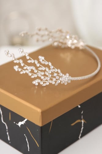 اكسسوار للشعر