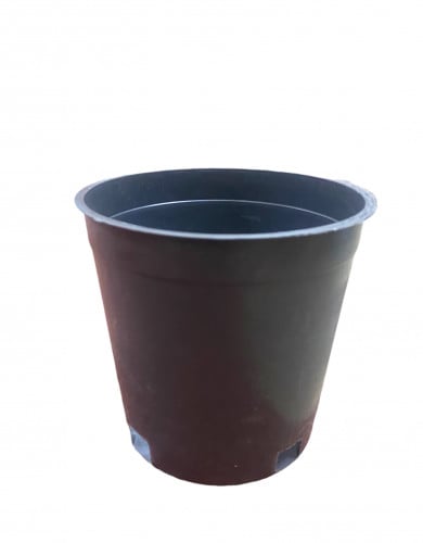 مركن تشتيل 16 سم ( 50 حبة )