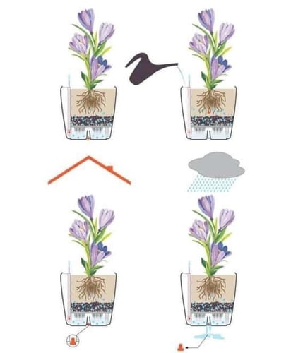 حوض ري ذاتي دائري 43 سم